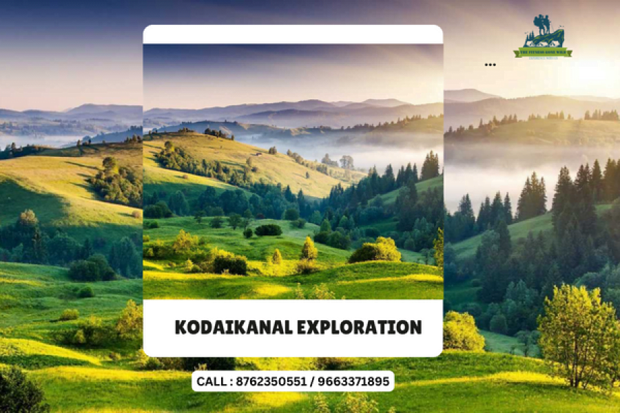 Kodaikanal exploration, Dolphin nose trek and Vattakanal falls