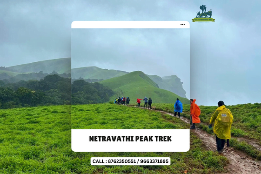 Netravathi Peak trek