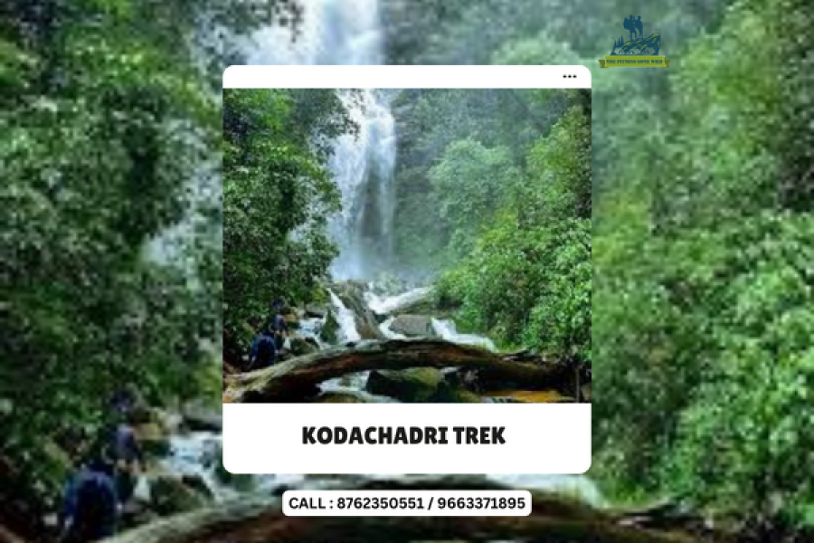 Kodachadri trek via Hidlumane falls