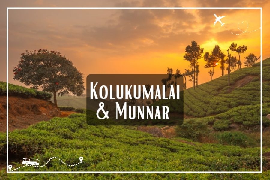 Kolukkumalai Sunrise trek and Munnar exploration